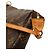 Louis Vuitton Brown Monogram Pochette Accessoires - Ansicht 5