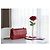 Timeless Chanel Sac Classique Bolso de solapa en piel de cocodrilo rojo - vista 12
