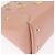 LOUIS VUITTON Sac Triangle Limited Edition PM Bag Leather Pink LV - Ansicht 13