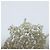 Autre Marque colette malouf flower headband - view 13