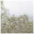 Autre Marque colette malouf flower headband - view 14