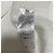 Autre Marque ATON SUVIN GARMENT DYE Sweatshirt Crewneck - vista 7