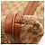 Borsa Hobo Gucci Monogram Canvas Pelle Brown - vista 13