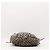Borsa Hobo Gucci Monogram Canvas Brown - vista 5