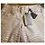 Roberto Cavalli Jeans mit Python-Print - Ansicht 2