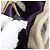 Miu Miu Matelasse Hand Bag Vitellolux 2way Beige Gold Auth 210290A - Jerrillo - vista 12