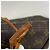 Louis Vuitton Monogram Neverfull PM Tote Bag - Ansicht 10
