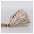 Christian Dior Romantic Pouch PVC Beige Silver - vista 4