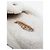 Prada Mules in camoscio beige e shearling - size EU 38 - vista 6