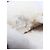 Prada Mules in camoscio beige e shearling - size EU 38 - vista 7