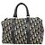 Borsa Christian Dior Trotter Canvas