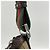 Borsa a tracolla Gucci GG Canvas Sherry Line - vista 7
