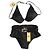 Fendi Black Silver FF Logo Bikini Set