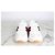 Gucci Baskets Mesh Web Lytone - vue 5