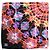 Dolce & Gabbana Foulard quadrato stampato multicolore nero