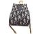 Dior Borsa Oblique Saddle Vertical Chain Crossbody Bag - vista 6