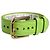 Dolce & Gabbana Pulseira strap com fivela dourada em couro texturizado verde - vista 6