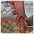 Gucci Borsa Shopper a Spalla in Jacquard Classico - vista 8