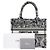 Dior Borsa Book Tote Small