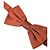 Dolce & Gabbana Brown Silk Adjustable Neck Men Bow Tie - view 2