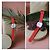 Autre Marque The Basics Scarlet Watch - vista 9