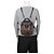 Louis Vuitton BB Backpack Brown Coated Canvas - view 11