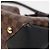 Louis Vuitton Damier Tote Bag Schwarz - Ansicht 9