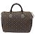 Louis Vuitton Monogram Mini Lin Canvas Speedy Tote Bag