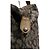 Autre Marque Borsa Duffel in Tela con Motivo Verde e Marrone - vista 4