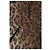 Dolce & Gabbana Brauner Leopard Cashmere Schal Stola - Ansicht 7