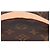 Louis Vuitton Mini Beauty Case Monogram - vista 8