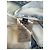 Fendi Giacca FF Monogram Bleached Taglia - vista 3
