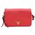 Prada Borsa a spalla e borsa a tracolla Vitello Phoenix Gold Logo