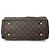 Louis Vuitton Borsa Tote Monogram Palace - vista 5