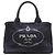 Prada Borsa Tote Small Canvas Canapa Logo Blu