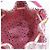 Louis Vuitton Borsa a Secchiello Monogram Nano Noe Pink - vista 7