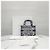 Dior Mini Book Tote Toads Blue - vista 9