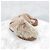 Céline Triope Bulky Close Wool Mules - view 9