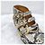 Gucci Python Stiefeletten Grün Leder - Ansicht 7