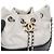 Chanel Borsa a tracolla Gabriel Pulse White Black - vista 9