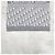 Dior Sciarpa in cashmere Oblique Alps - vista 11