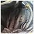 Prada Borsa Black Vitello Daino Logo Gold Lettering - vista 9