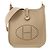 Hermès Borsa a tracolla Hermes Evelyne TPM