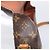 Saint-Cloud LOUIS VUITTON Monogram Saint Cloud GM Shoulder Bag M51242 LV Auth RV009 - Jerrillo - vista 9