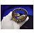 Bracciale Cuff Largo Chanel 17P Autentico Pelle Perle e Cristalli - vista 9