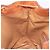 Céline CELINE Macadam Canvas Shoulder Bag PVC Leather Brown Gold - vista 21