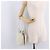 Miu Miu Purse Hand Bag Canvas Ivory Gold - vista 22