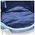 Miu Miu Tote Bag Leather Blue Gold - vista 11
