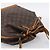 LOUIS VUITTON Monogram Noe Shoulder Bag M42224 LV - vista 6