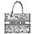 Dior Book Tote Medium Plan de Paris